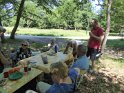 2017-06-01 13-15-11 Rando Fontainebleau CGn
